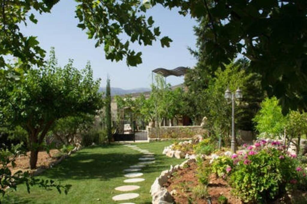 Olive House Traditional Villa With Pool Sitia  Exterior photo